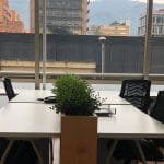 ¿Qué debo escoger: una oficina tradicional o una oficina compartida?