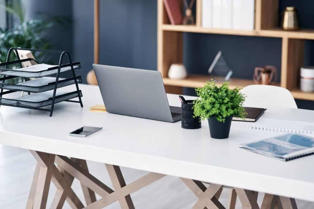 bondades de las plantas en los espacios de trabajo