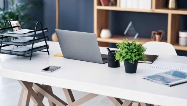 bondades de las plantas en los espacios de trabajo