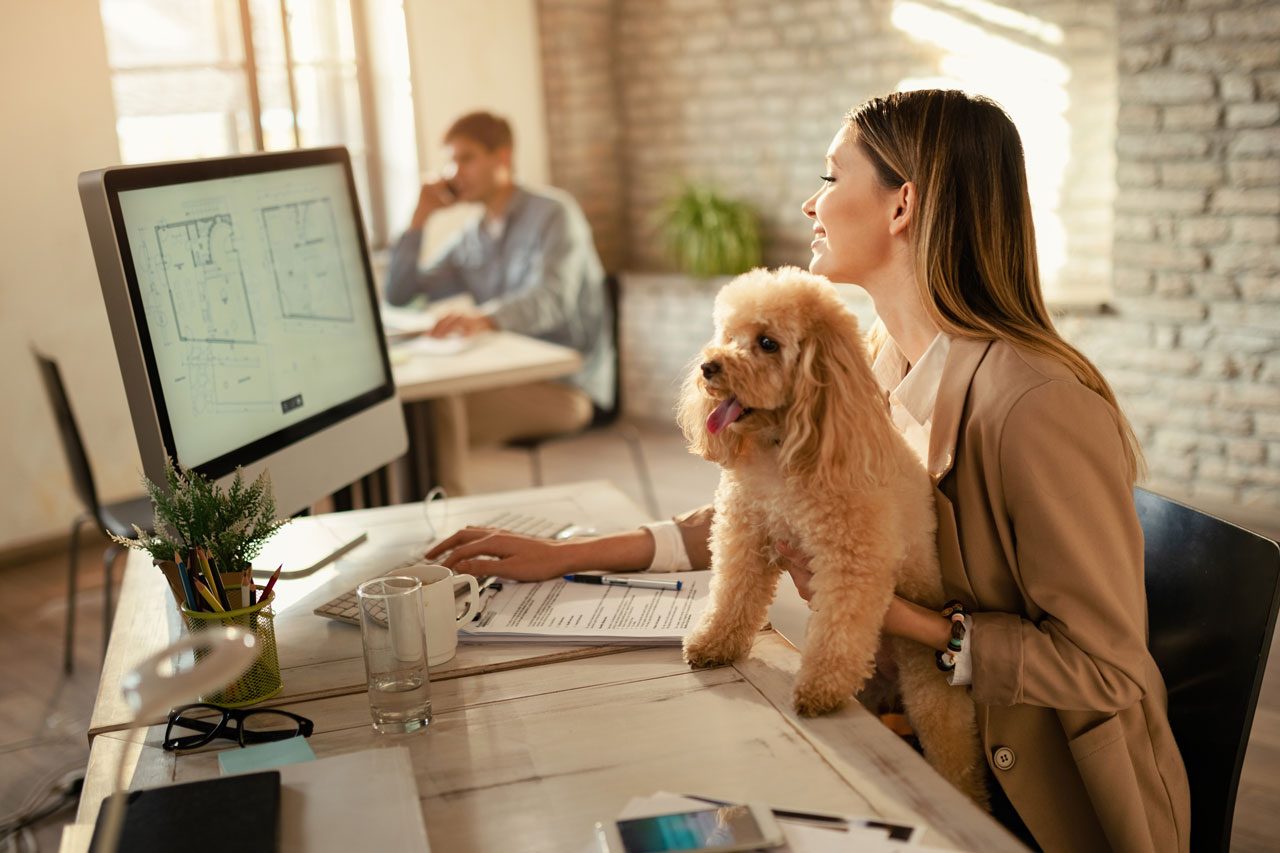 Consejos para adaptar tu coworking en una zona petfriendly