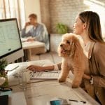 Consejos para adaptar tu coworking en una zona petfriendly