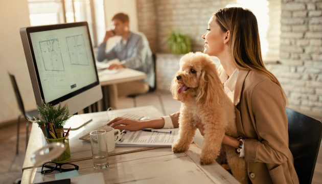 Consejos para adaptar tu coworking en una zona petfriendly